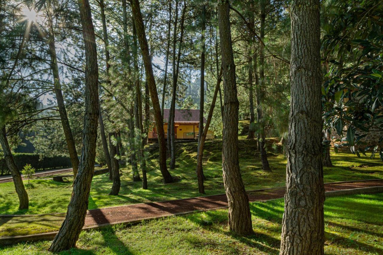 Hotel Bosque Escondido Mazamitla Exteriér fotografie